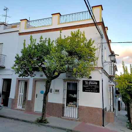 Jacaranda Villa Prado Del Rey Buitenkant foto