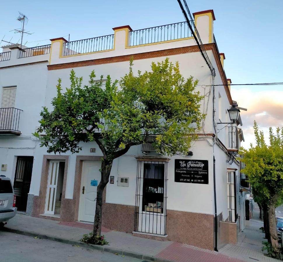 Jacaranda Villa Prado Del Rey Buitenkant foto